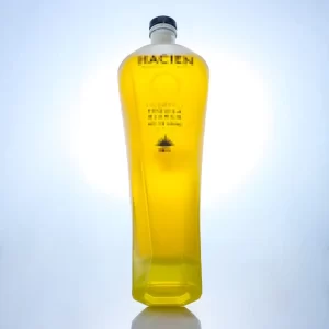 special shape bottle custom logo tequila bottle 750ml