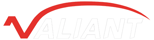 Valiant Glass Bottles-Professional Manufacturer-VIT
